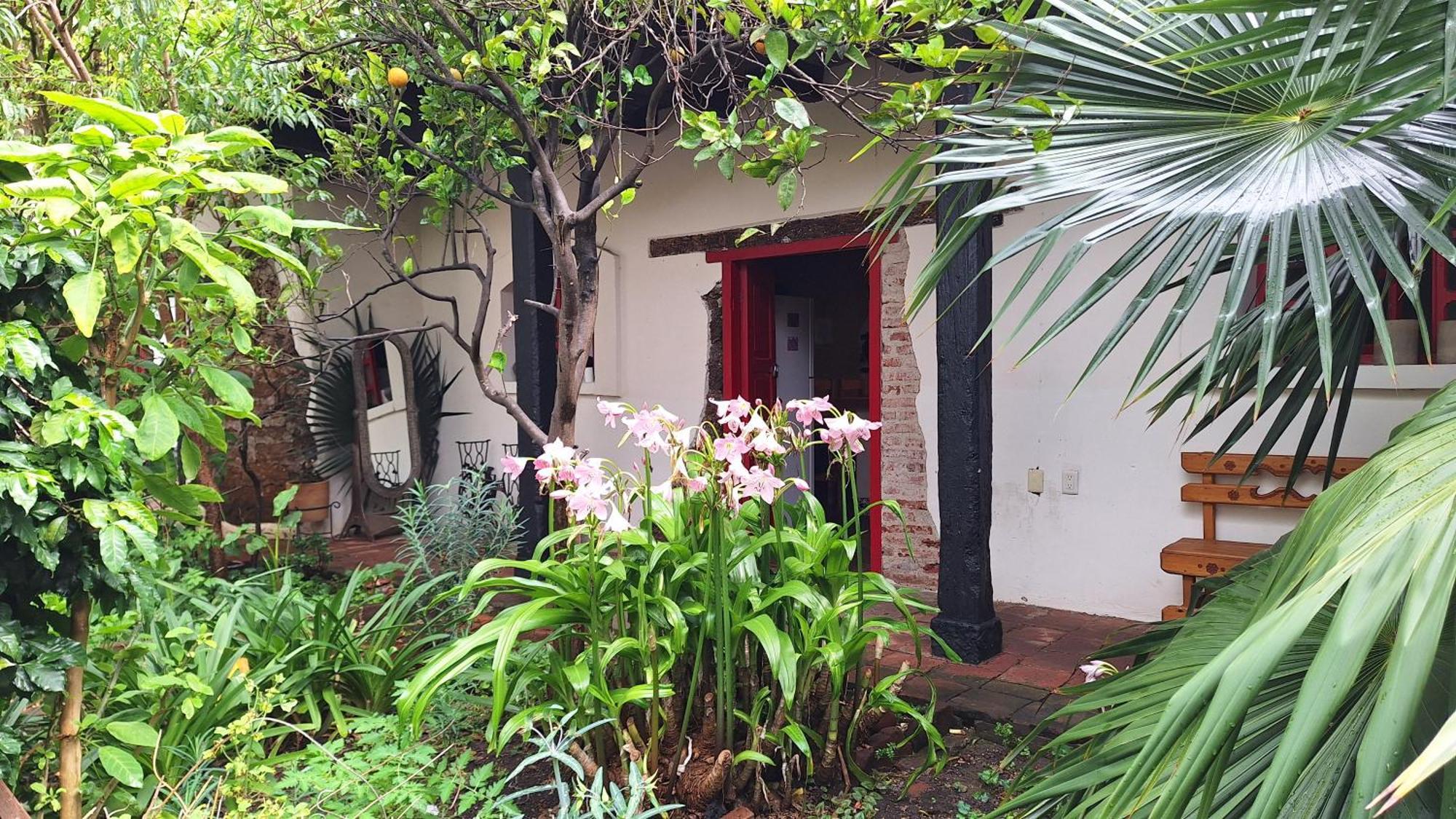 Serena Morena San Cristóbal de Las Casas エクステリア 写真