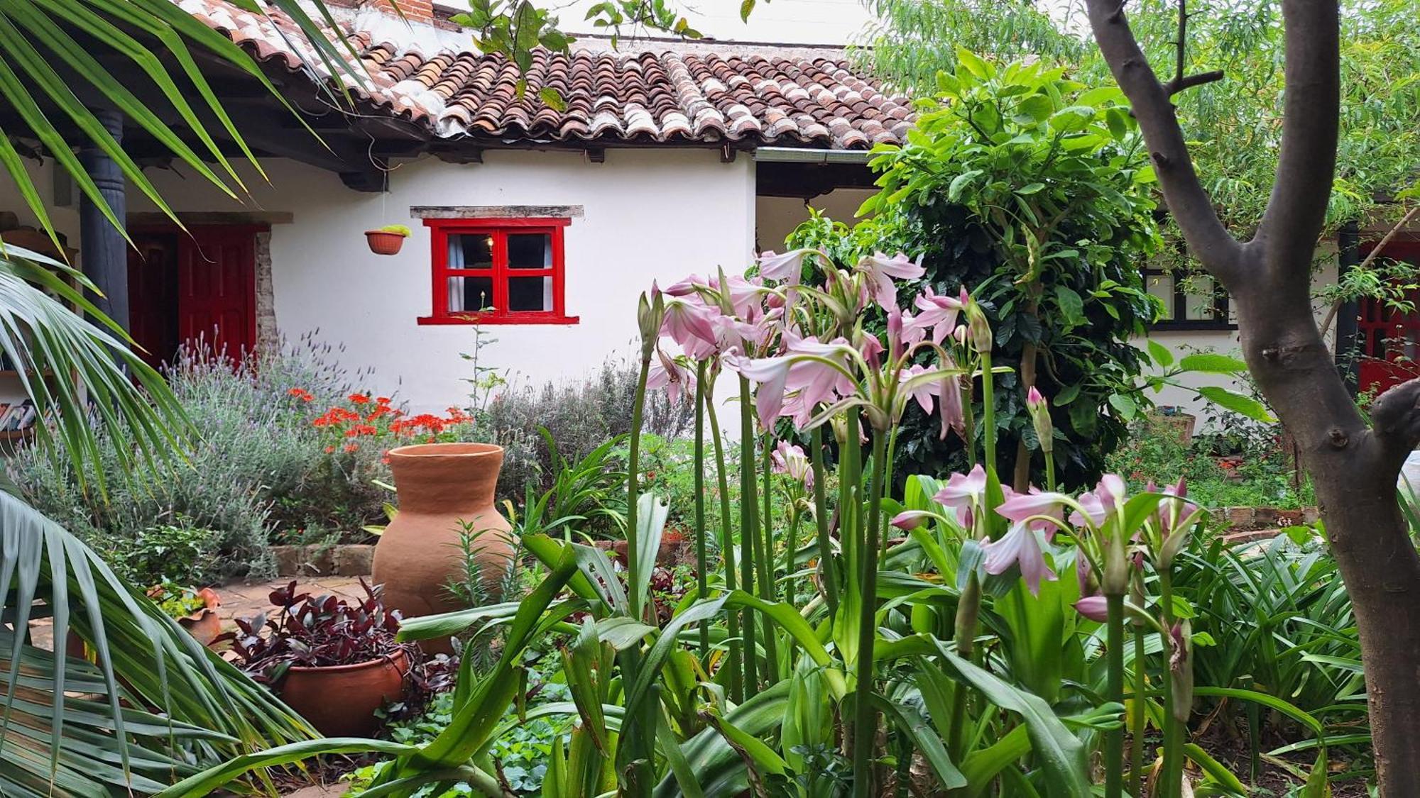 Serena Morena San Cristóbal de Las Casas エクステリア 写真